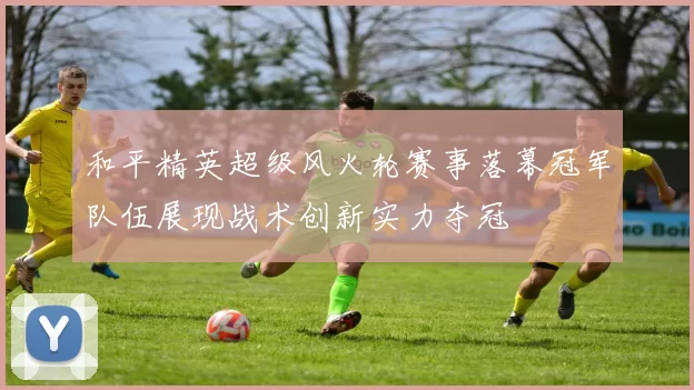 和平精英超级风火轮赛事落幕冠军队伍展现战术创新实力夺冠