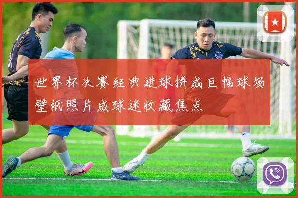 世界杯决赛经典进球拼成巨幅球场壁纸照片成球迷收藏焦点